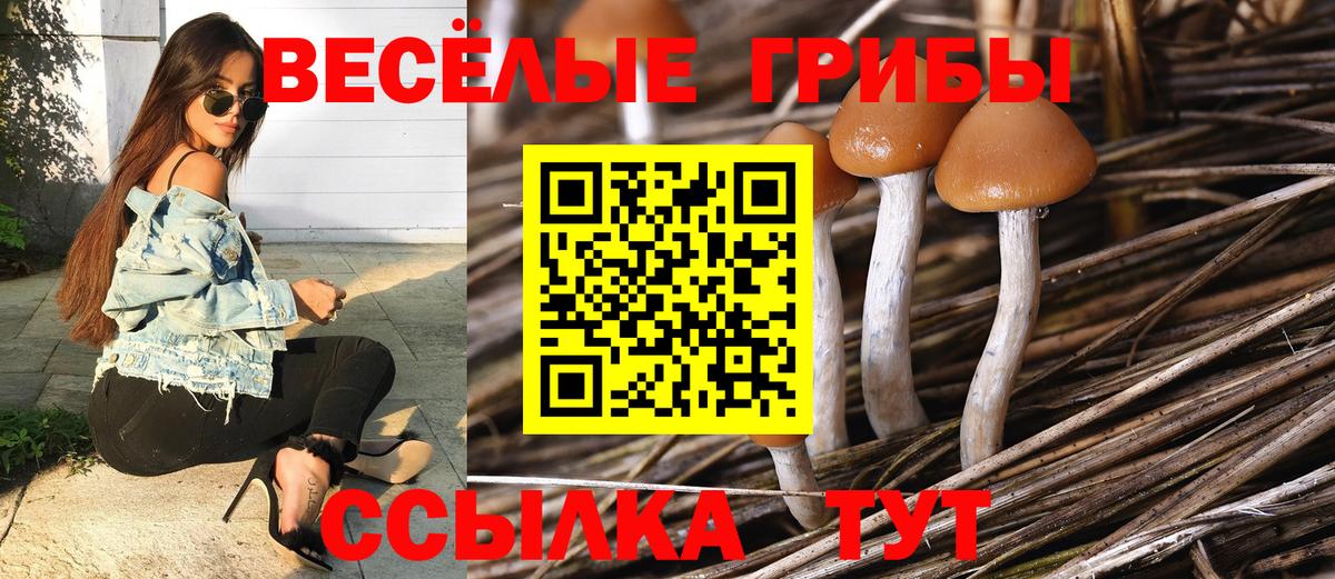 Галлюциногенные грибы мицелий Когалым